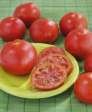 Marglobe Heirloom Tomato